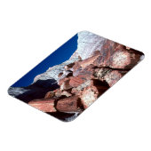 versteinertes Holz, versteinerter Wald NP, Arizona Magnet (Linke Seite)