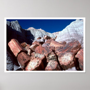 versteinertes Holz, versteinerter Wald NP, Arizona Poster
