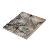 Versteinertes Holz, vorder Fliese (Seite)