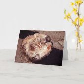 Versteinertes Holzlog mit Schatten Arizona-Foto Karte (Gelbe Blume)