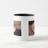 Versteinertes Holzlog mit Schatten Arizona-Foto Tasse (Zentrum)