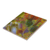 Versteinertes Regenbogenholz Fliese (Seite)