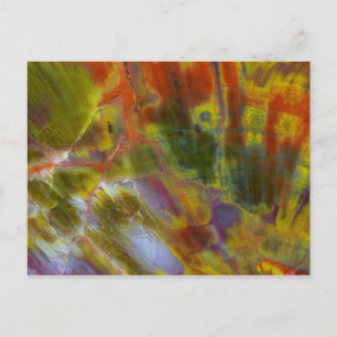 Versteinertes Regenbogenholz Postkarte