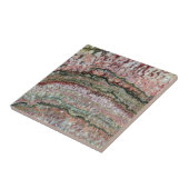 Versteinertes Stromatolites Fliese (Seite)