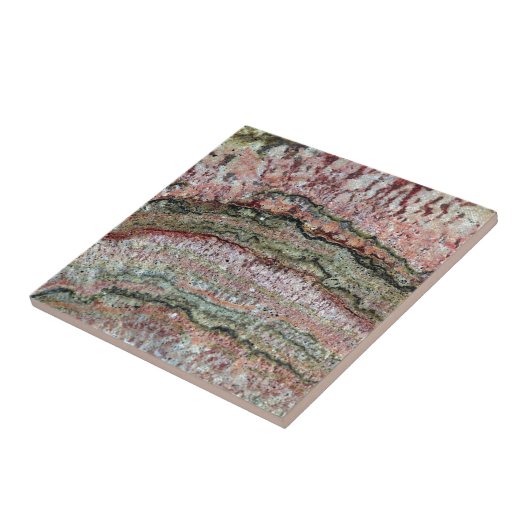 Versteinertes Stromatolites Fliese (Seite)