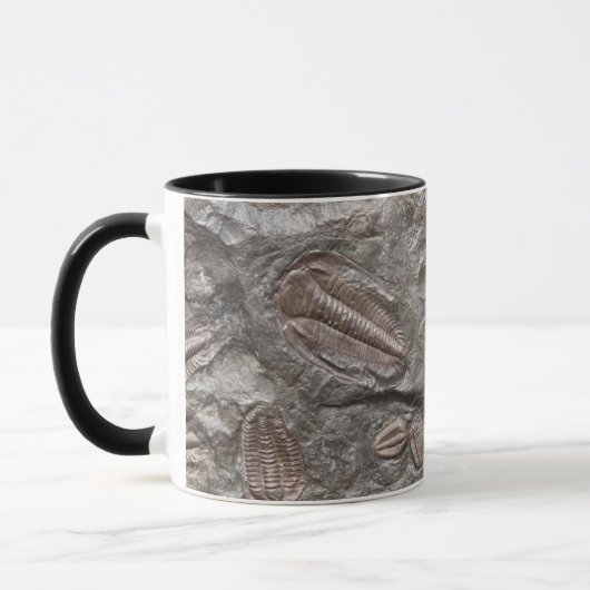 Versteinertes Trilobites: TRILOBITE FOSSILIEN Tasse (Links)