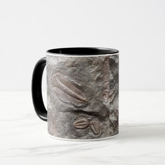 Versteinertes Trilobites: TRILOBITE FOSSILIEN Tasse (Vorderseite Links)