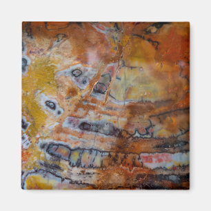 versteinertes Wood Brown Magnet