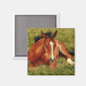 Verstopft - Foal Magnet ausruhen (Vorderseite/Rückseite)