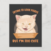 Versuch, eifrig auszusehen, aber ich bin zu niedli