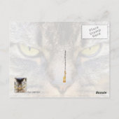 Versuch es mir! postkarte (Rückseite)