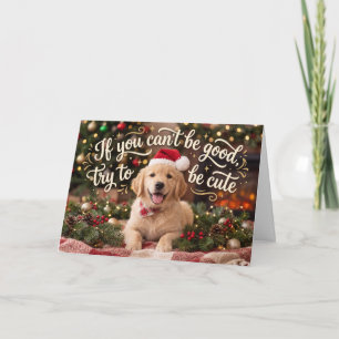 Versuche süß zu sein Golden Retriever Weihnachten