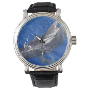 Versuchswal in Hawaii Armbanduhr