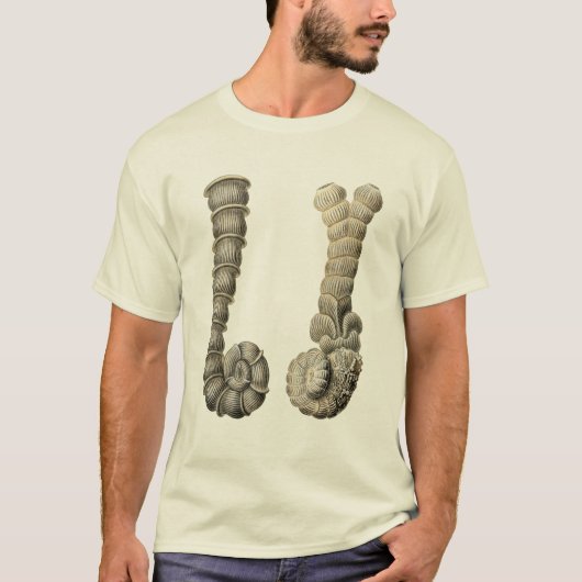 Vertebralina T-Shirt (Vorderseite)