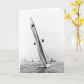 Verteidiger 1895 karte (Gelbe Blume)