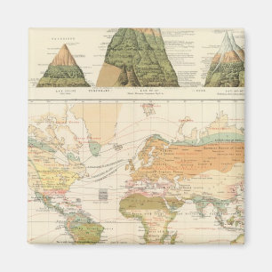 Verteilungsvegetation Magnet