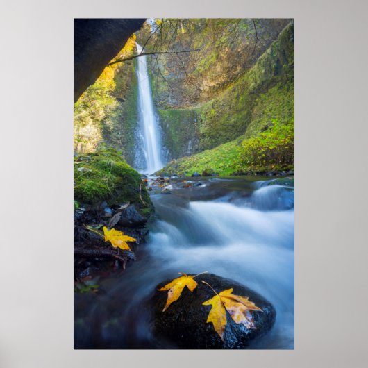 Vertical panorama view of Tunnel Falls Poster (Vorne)