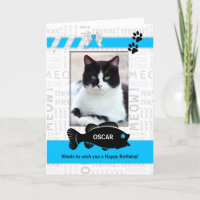 Vertikal vom Foto der Katze zum Geburtstag blauer