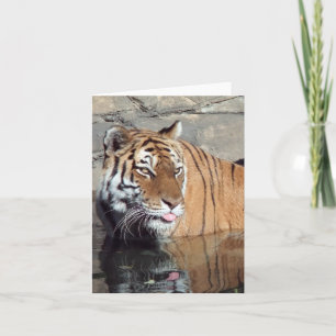 Vertikale bengalische Tiger-Karte Karte