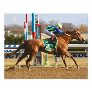 Vertikale Eiche Fotodruck