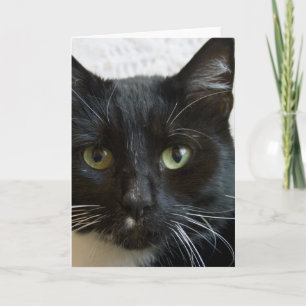 Vertikale Gruß-Karte: Lilly die Katze Karte