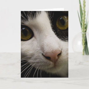 Vertikale Grußkarte: Mickey die Katze Karte