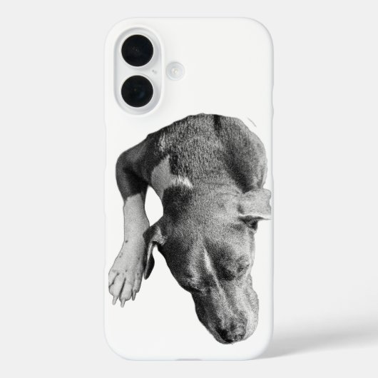 Vertikale Kruste - Kopf und Pfote Case-Mate iPhone Hülle (Rückseite)