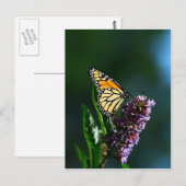 Vertikale Postkarte für Monarch Flutters (Vorne/Hinten)