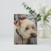 Vertikale Postkarte - Maßgeschneiderte Vorlage (Stehend Vorderseite)