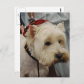 Vertikale Postkarte - Maßgeschneiderte Vorlage (Vorne/Hinten)