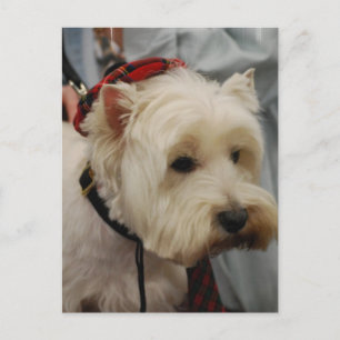 Vertikale Postkarte - Maßgeschneiderte Vorlage