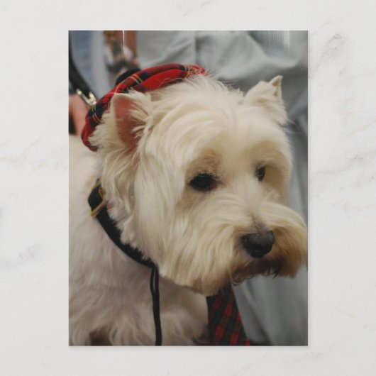 Vertikale Postkarte - Maßgeschneiderte Vorlage (Vorderseite)