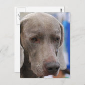 Vertikale Postkarte - Maßgeschneiderte Vorlage (Vorne/Hinten)