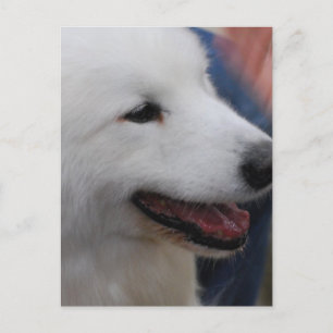 Vertikale Postkarte - Maßgeschneiderte Vorlage