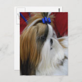 Vertikale Postkarte - Maßgeschneiderte Vorlage (Vorne/Hinten)