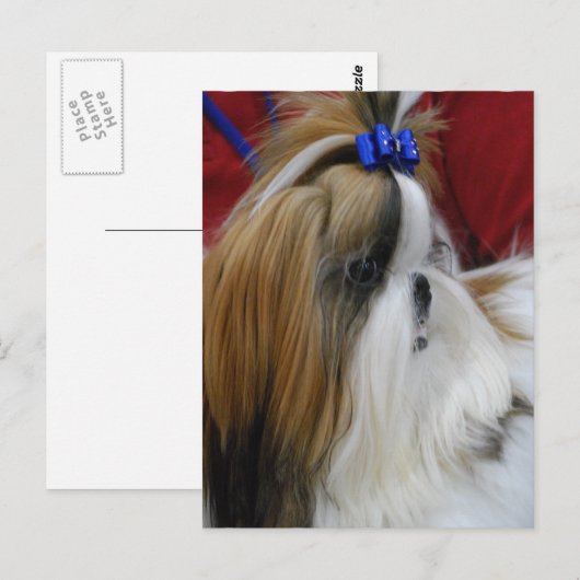 Vertikale Postkarte - Maßgeschneiderte Vorlage (Vorne/Hinten)