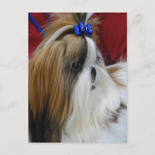 Vertikale Postkarte - Maßgeschneiderte Vorlage (Vorderseite)