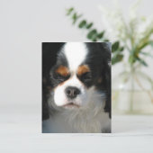 Vertikale Postkarte - Maßgeschneiderte Vorlage (Stehend Vorderseite)