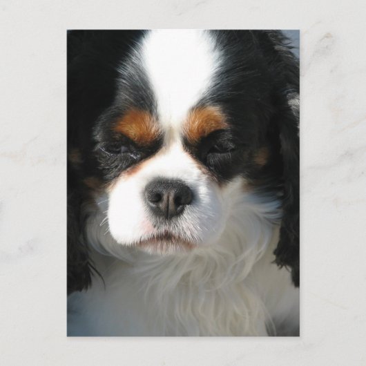 Vertikale Postkarte - Maßgeschneiderte Vorlage (Vorderseite)