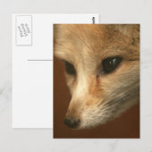 Vertikale Postkarte - Maßgeschneiderte Vorlage (Vorne/Hinten)