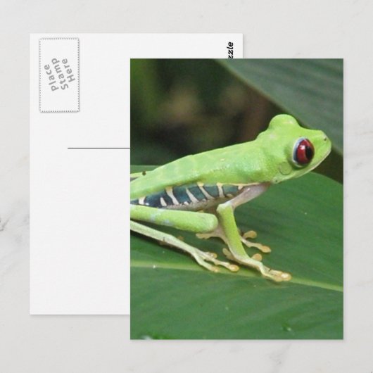 Vertikale Postkarte - Maßgeschneiderte Vorlage (Vorne/Hinten)