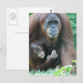 Vertikale Postkarte - Maßgeschneiderte Vorlage (Vorne/Hinten)