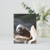 Vertikale Postkarte - Maßgeschneiderte Vorlage (Stehend Vorderseite)