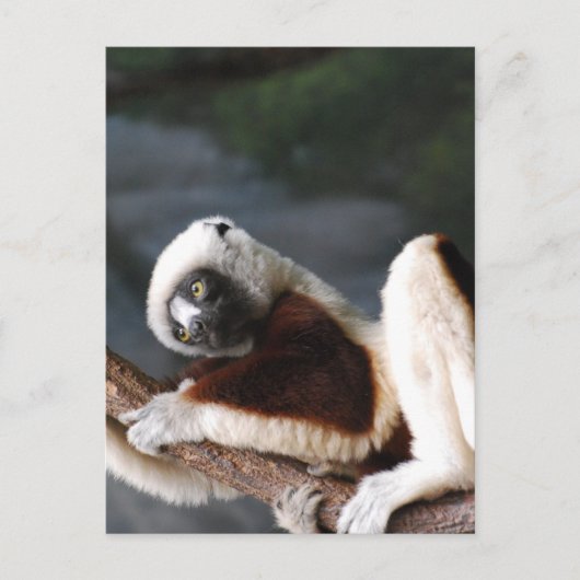 Vertikale Postkarte - Maßgeschneiderte Vorlage (Vorderseite)