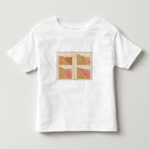 Vertikale Querschnitte der Ader, Utah-Welle Kleinkind T-shirt