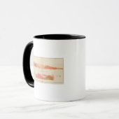 Vertikale Querschnitte des Lodes, Sutro-Tunnel Tasse (Vorderseite Links)