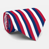 Vertikale und horizontale rote, blaue Streifen Krawatte (Gerollt)