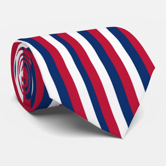 Vertikale und horizontale rote, blaue Streifen Krawatte (Gerollt)