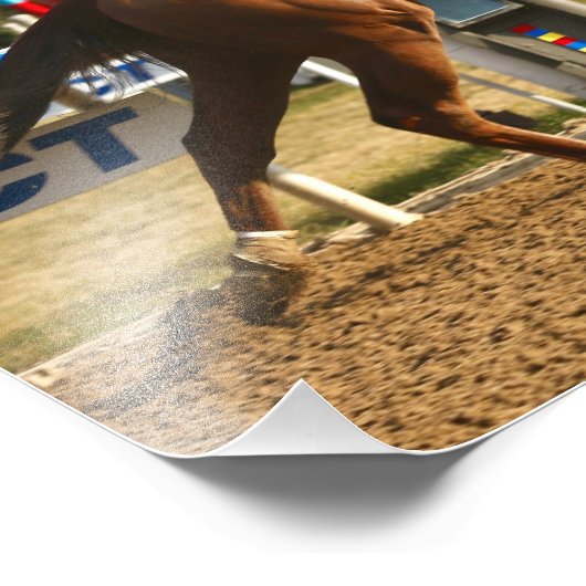 Vertikaleiche Fotodruck (Ecke)