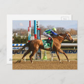 Vertikaleiche Postkarte (Vorne/Hinten)